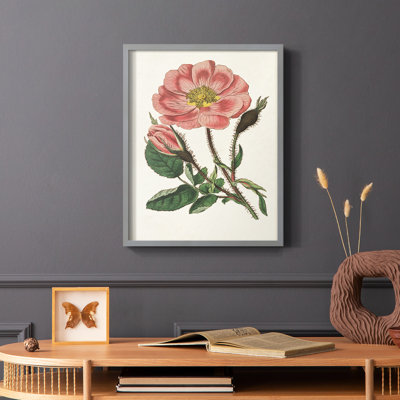 Pink Floral Mix IX Framed Print - Solid Wood