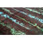 Kendale Abstract Area Rug in Green/Rust