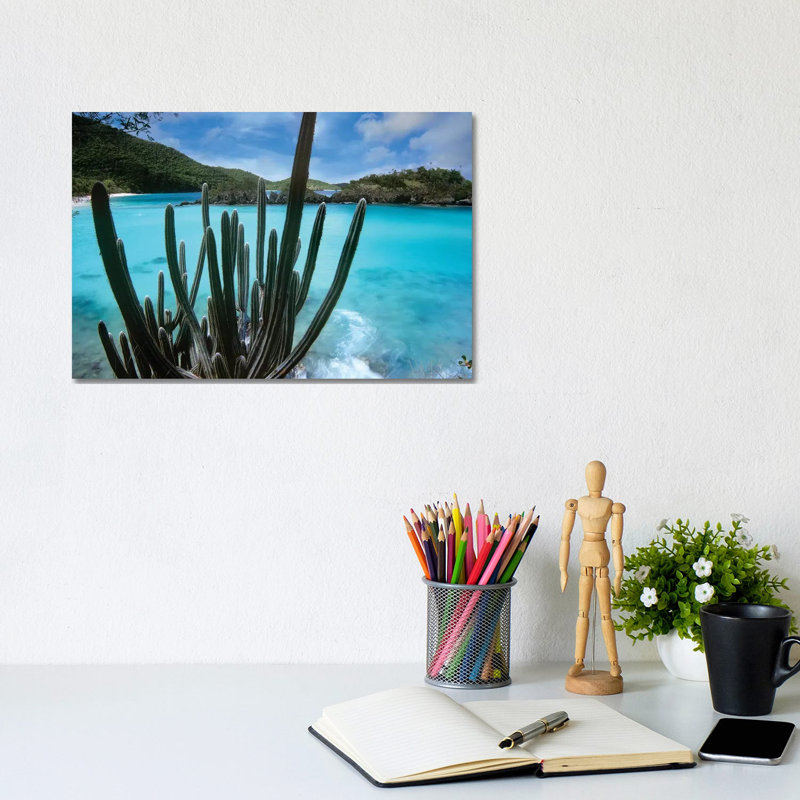 Cactus Growing Along Trunk Bay, Virgin Islands National Park, Virgin Islands by Tim Fitzharris - Wrapped Canvas Print