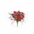 Rose est en rupture de stock