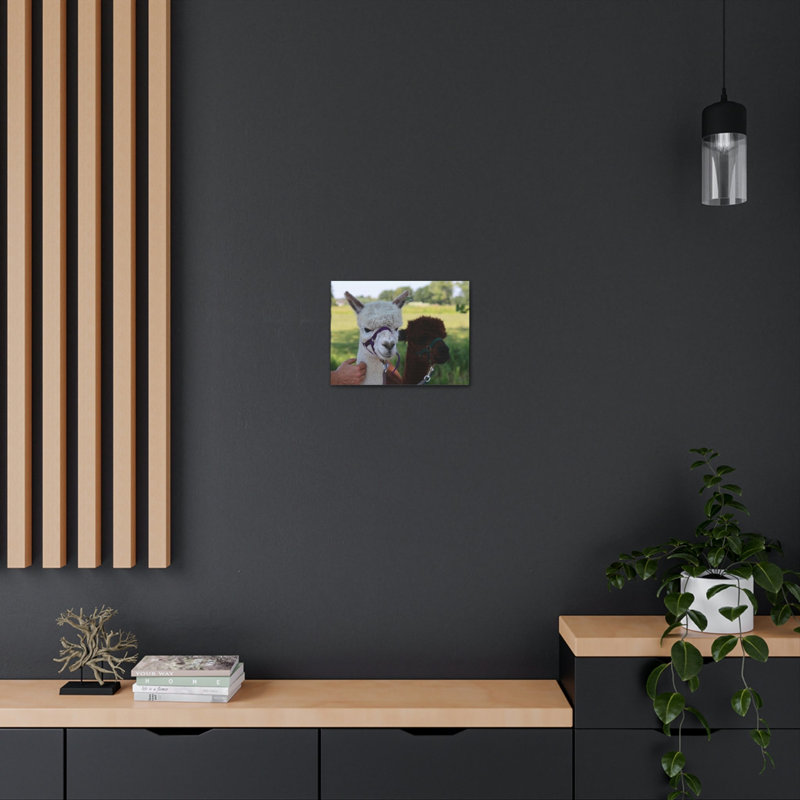 No Frame Print on Canvas, 30.48cm H x 45.72cm W