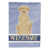 Labrador blond assis sélectionné