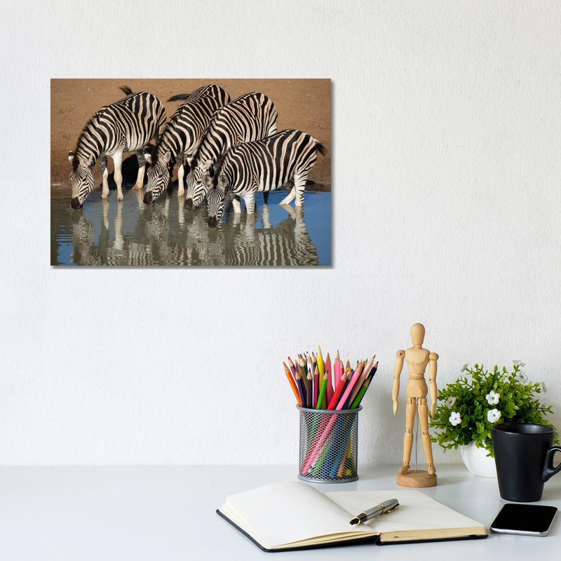 Zebras Drinking by Mogens Trolle - Wrapped Canvas Print, 20.32 cm H x 30.48 cm W