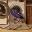  Tapis lavable mauve-1916908148