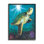 Tortue sous-marine récif encadré sur bois par Scott Westmoreland, peinture