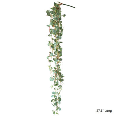 Branche de bégonia