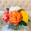 Large Real Touch Peony Stems – White, Pink, Yellow, Orange, Magenta, Blush Faux Peonies