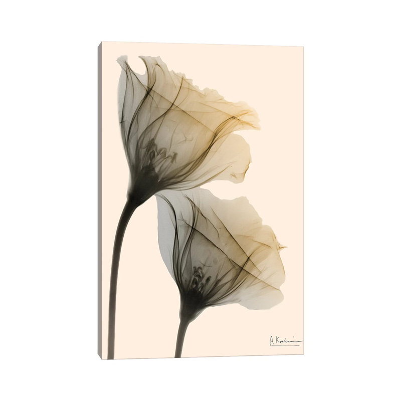 Neutral Lovers I by Albert Koetsier - Wrapped Canvas Print, 66.04 cm H x 45.72 cm W x 1.91 cm D