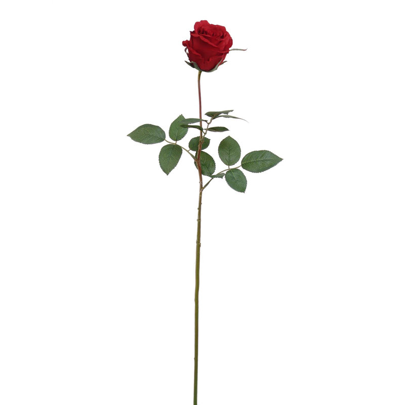 Tige de roses, Rouge, 2