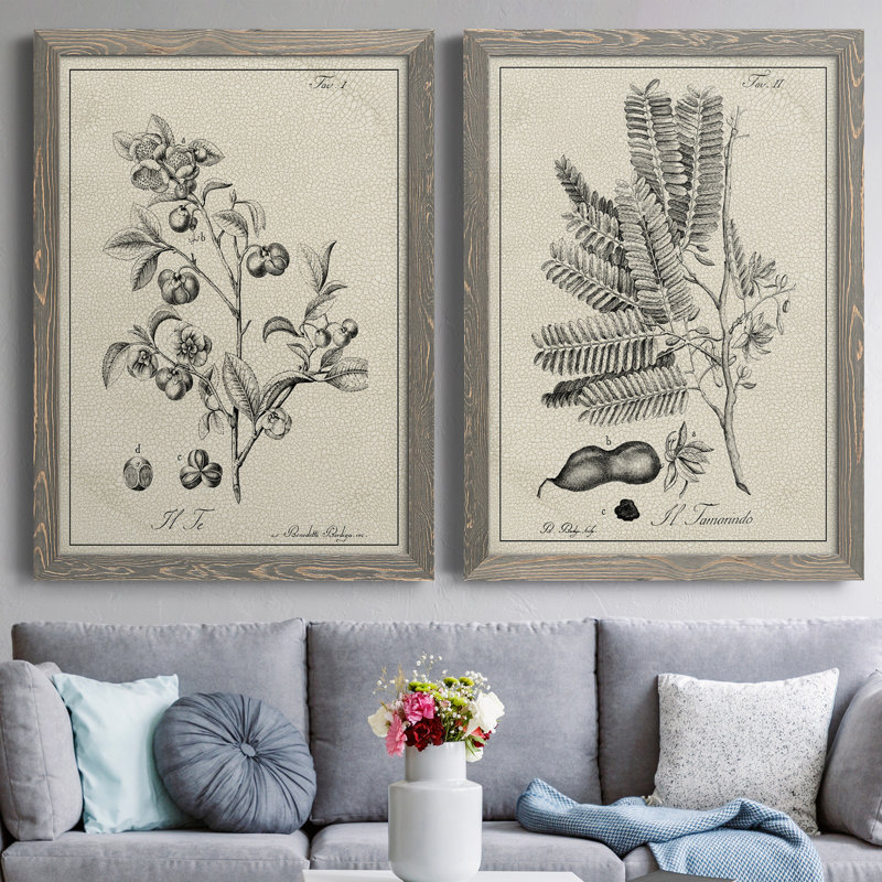 «Antique Black and White Botanical IV», ensemble de 2 reproductions d'art sur toile, H 43,5 po x l 63 po x P 1 po