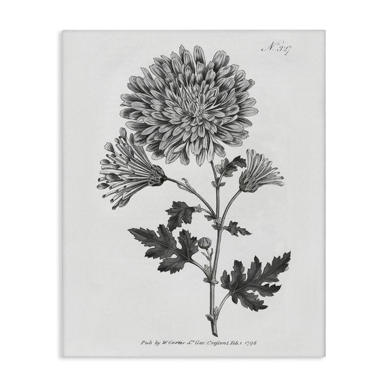 Art mural rétro sur toile de fleur de forêt, design par Kelly Donovan, H 20 po x l 16 po