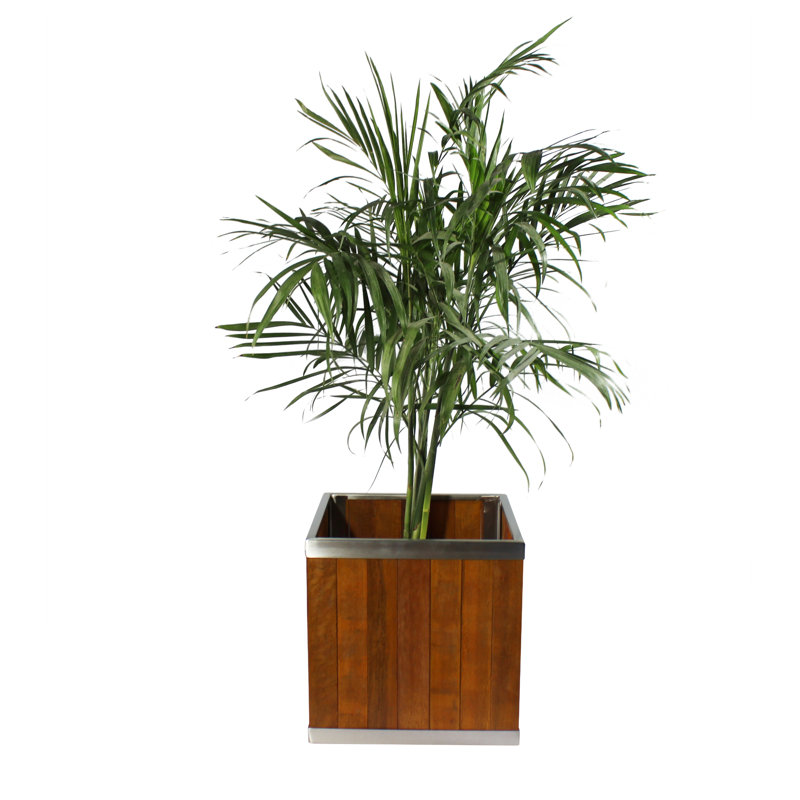Boîte à fleurs carré eucalyptus, Brun moyen, H 18 po x l 18 po x P 18 po
