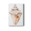 Coquillage III - impression sur toile tendue-92383658