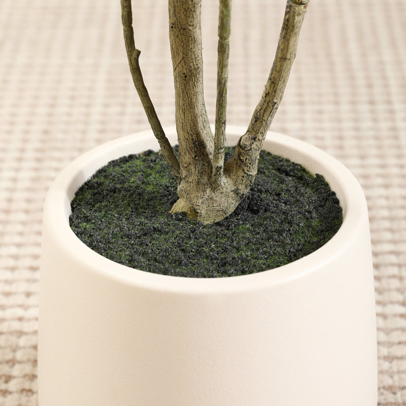 Faux olivier en plastique George avec pot ovale blanc, H 60 po x l 20 po x P 20 po