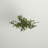 36 " H Faux Ficus Plant in Glass Decorative Vase