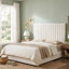 Lit plateforme moderne capitonné en velours avec tête de lit extra-haute et tiroirs de rangement, King, crème-1247992386-1247992384