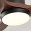 Hot Ventilateur de plafond noir moderne de 42 pouces avec lumière 3 pales ABS Moteur à courant continu réversible à télécommande avec DEL à intensité variable-429461947-429461940
