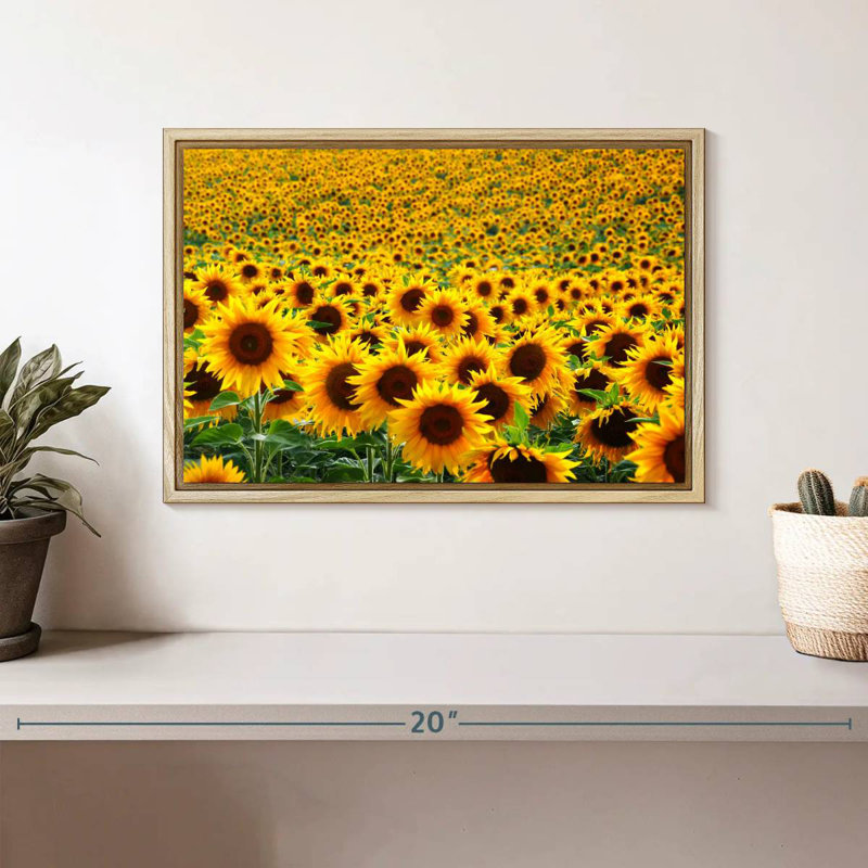 Champ de tournesols sans fin, Cadre flottant en bois naturel, 13 po x 9 po