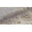 Hand-Knotted High-Quality Ivory Area Rug