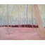 Springtime Woods Print by Katie Ré Scheidt-1062225693-1062238408