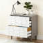 Classeur 2 tiroirs, armoire de rangement spacieuse-1500545681
