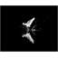Elegant Departure 1 Print by Thom Filicia