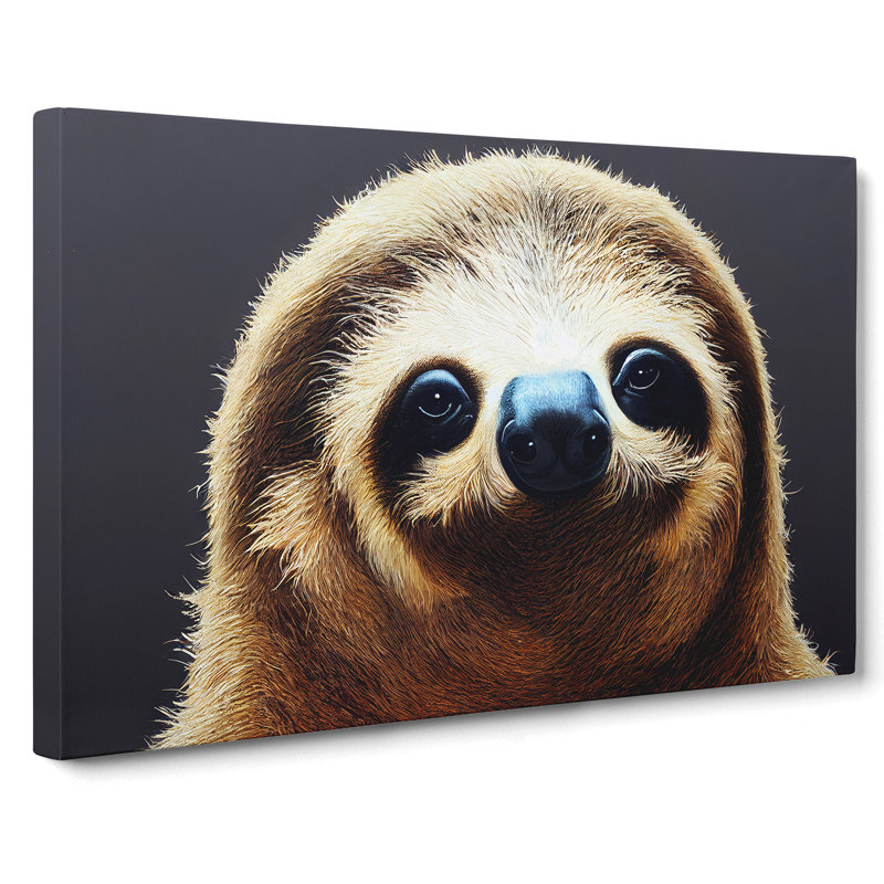 Cute Sloth - Wrapped Canvas, 40cm H x 60cm W x 3cm D