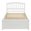 Base de lit en bois avec lit gigogne Platm Bed