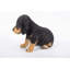 Statue chiot teckel