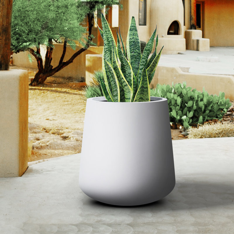 Pot à fleurs en béton Laihla, Gris clair, H 12,2 po x l 11,8 po x P 11,8 po
