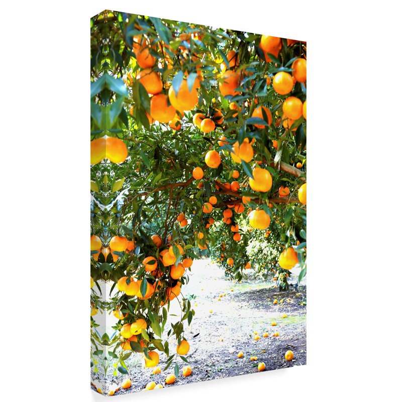 Incredi Orange Trees Gallery-Wrapped Canvas Art