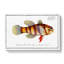 Great-Scaled Umber Fish by M.E. Bloch - Wrapped Canvas-55359810