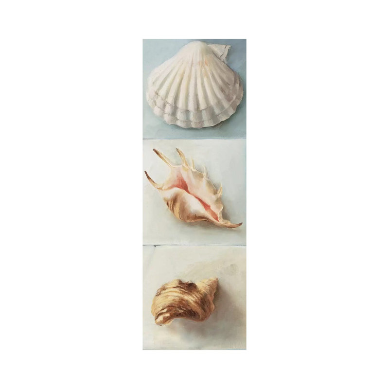Shell Selection I 1 Piece Wrapped Canvas Panoramic Wall Art, 30.48 cm H x 91.44 cm W x 1.91 cm D