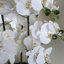 Plastic, Silk Artificial Arrangement in Planter-88685042-88685039