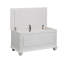 Farley Blanket Chest-16773084