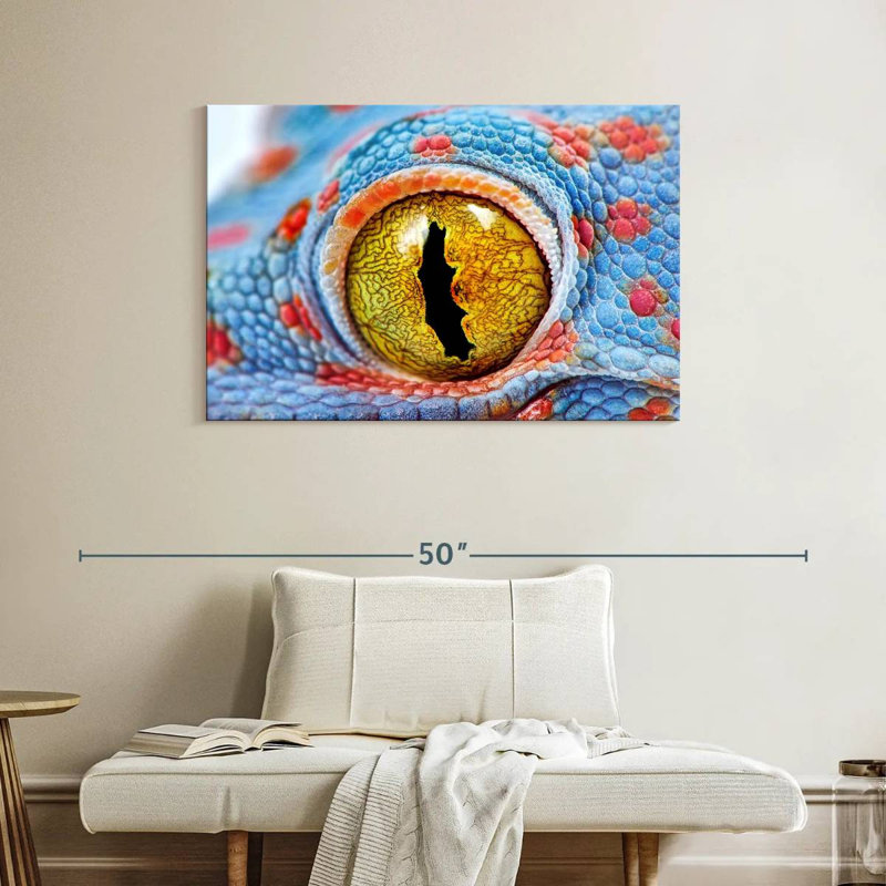 Oeil de gecko Brampt, H 26 po x l 39 po
