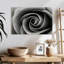 Harnek My Pretty Rose-108913036
