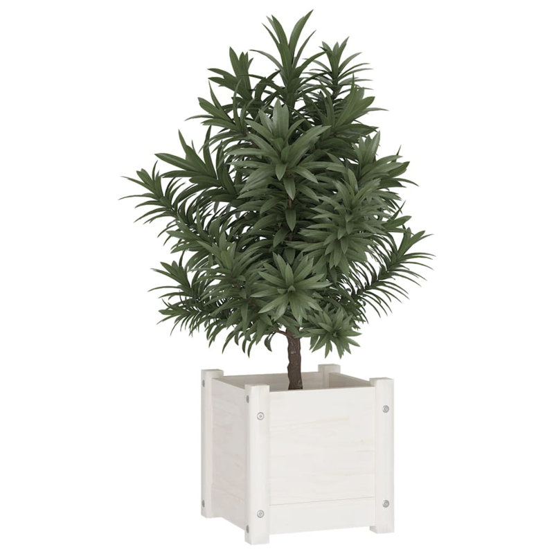 Alasiah Wood Planter Box, White, 31cm H x 31cm W x 31cm D
