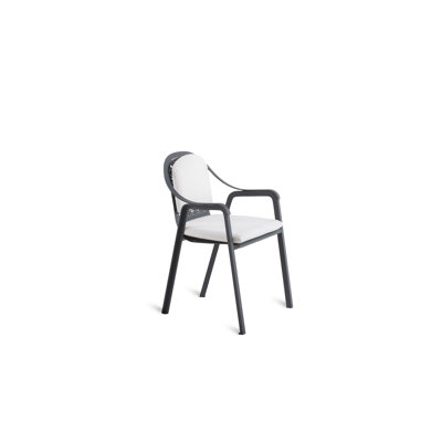 Tline Metal Outdoor Lounge Chair , Sunbrella® Cushions Included