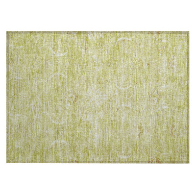 Segin Area Rug with Non-Slip Backing