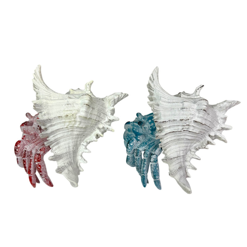 Ensemble de statues de bernard-l'hermite en résine rouge et bleue, dans des coquilles blanches, hauteur 13,3 cm (5,25 pouces).