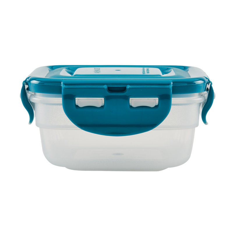 Clear Plastic 20-Piece Food Storage Container Set with Teal Lids