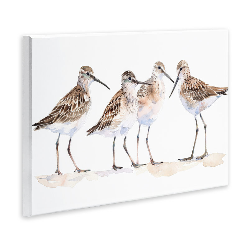  «Sand Pipers Gathered» par Petal Prints Design, H 10 po x l 15 po