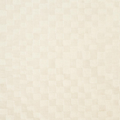 Tissu diaphane Schumacher X Patterson Flynn
