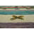 Wool Geometric Indoor Rug
