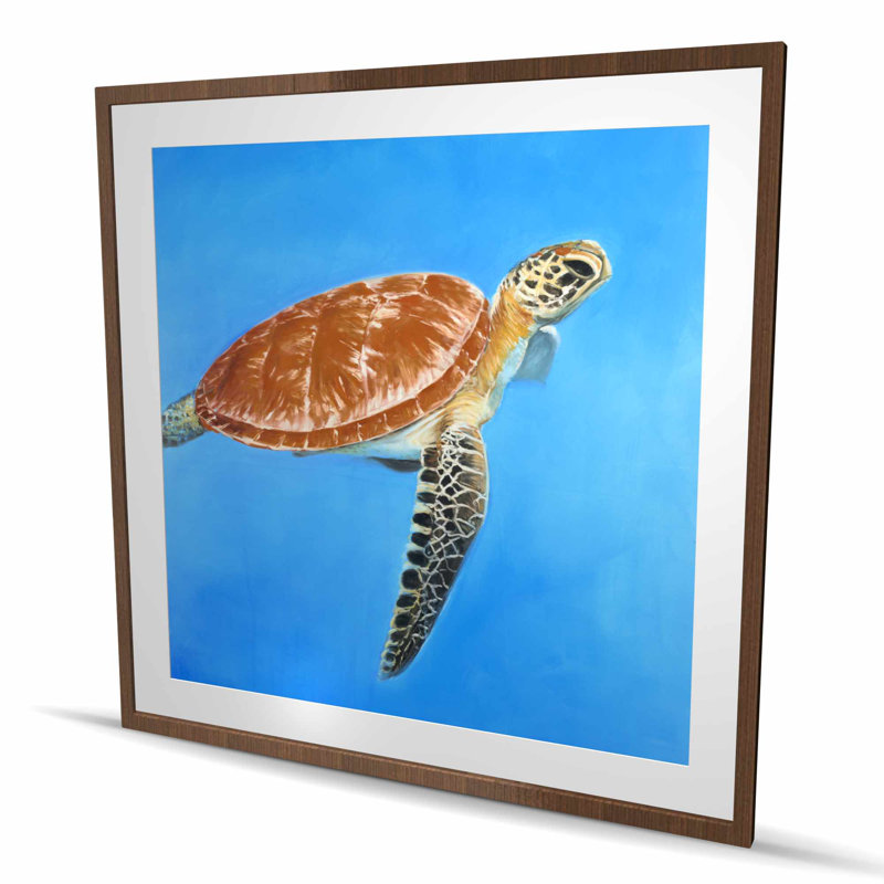 Green Aquatic Turtle - Brown Animals Framed Matted Print