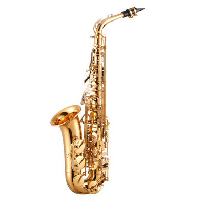 Alto Saxophone, E Flat, Brass Saxophone Beginner Kit with Carrying Case, Mouthpiece, Straps, Cleaning Cloth Rod, Gloves, Grease, Neck Strap, 23 Keys Alto Sax Kit, for Beginners Students, Gold