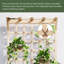 Planter Box-2123272001