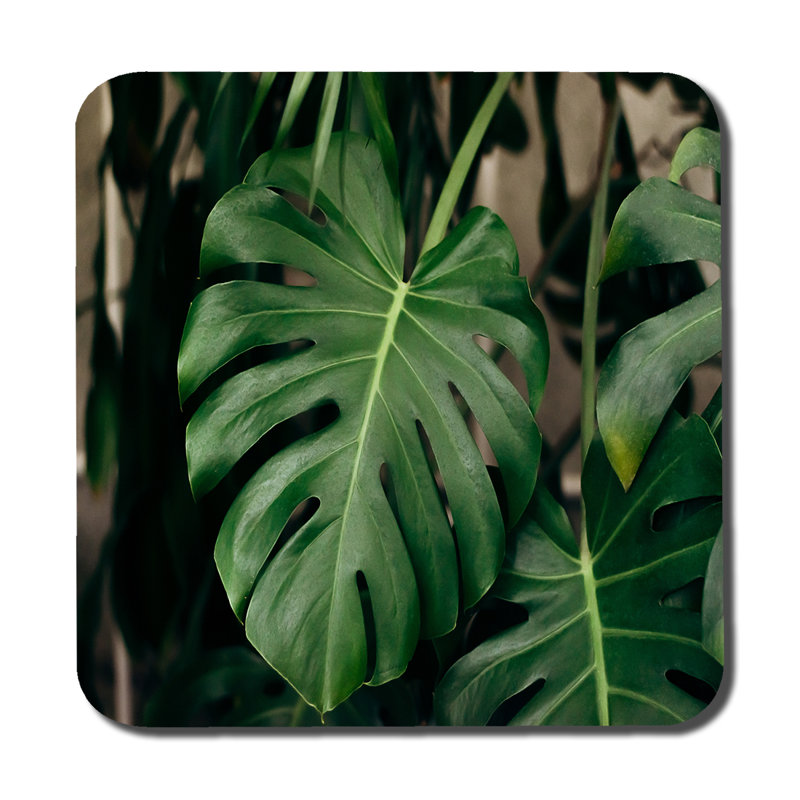 Dujuan Square 6 Piece Coaster Set