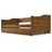 Anayelli Solid Wood Classic Daybed with Trundle-1531215804